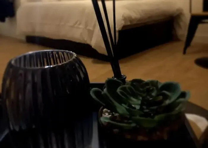 Le 29 Cuty, 3min De La Gare , Wifi