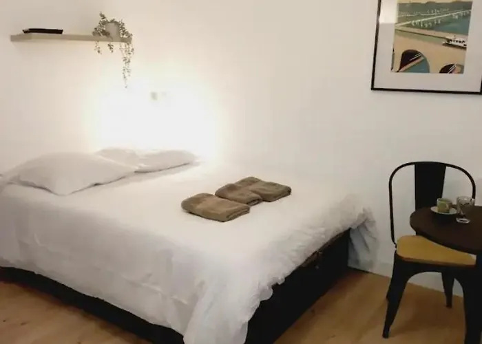 Le 29 Cuty, 3min De La Gare , Wifi * Ажен